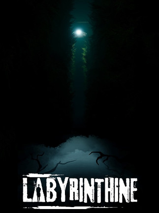 Labyrinthine